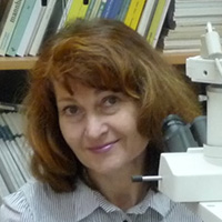 Неврова Елена Леонидовна